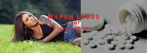 ПСИЛОЦИБИНОВЫЕ ГРИБЫ Липки