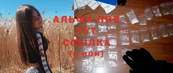 ПСИЛОЦИБИНОВЫЕ ГРИБЫ Липки