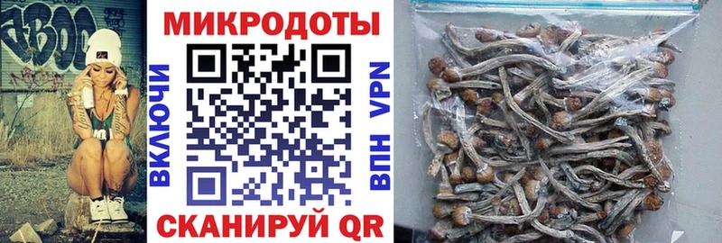 Псилоцибиновые грибы Magic Shrooms  Купить закладки  Плёс 