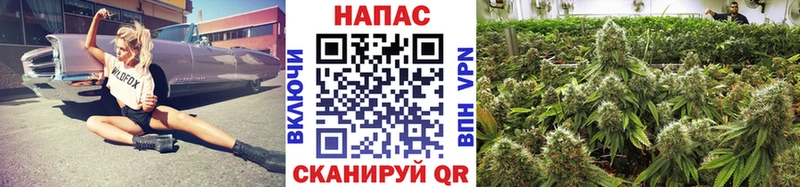Купить  Плёс  Шишки марихуана LSD WEED 